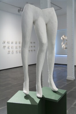 FERNANDO G. MÉNDEZ